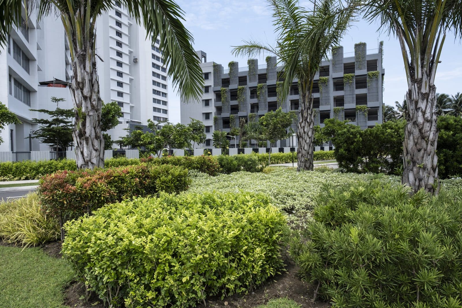 The Residences at Azuela Cove — 3
