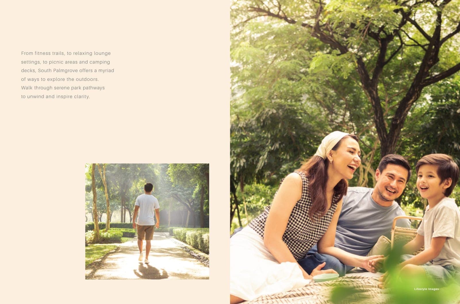 South Palmgrove floor plan 2